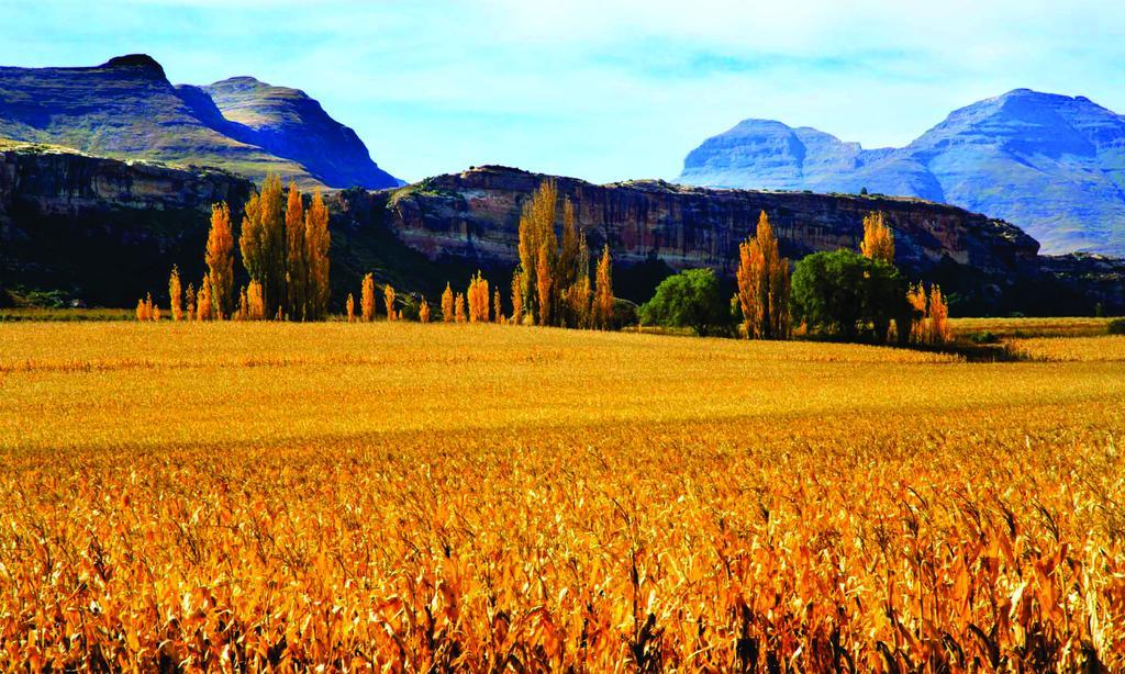 Lola'S Self Catering Accommodation Clarens Exterior photo
