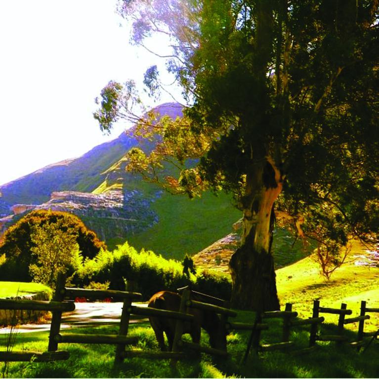 Lola'S Self Catering Accommodation Clarens Exterior photo